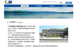 廣州市精聯化學制品有限公司官網建設 打造專業高效的線上品牌門戶